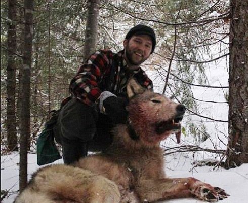 Orang Ini Berburu Srigala Hanya Untuk Senang - Senang [ www.BlogApaAja.com ]