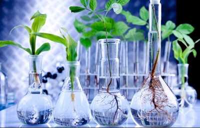 bioteknologi