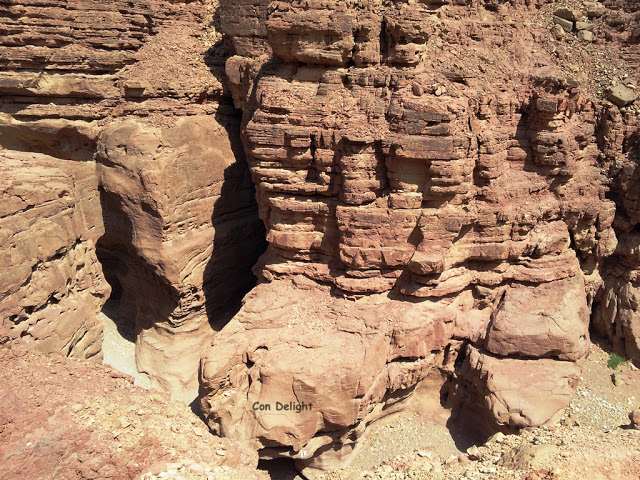 the red canyon path