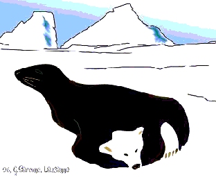 Polar Bear or A Seal - Optical Illusion