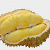 Manfaat Durian Bagi Kesehatan Tubuh Anda