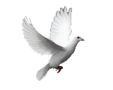 radio cristiana amor eterno jeremias 33 3
