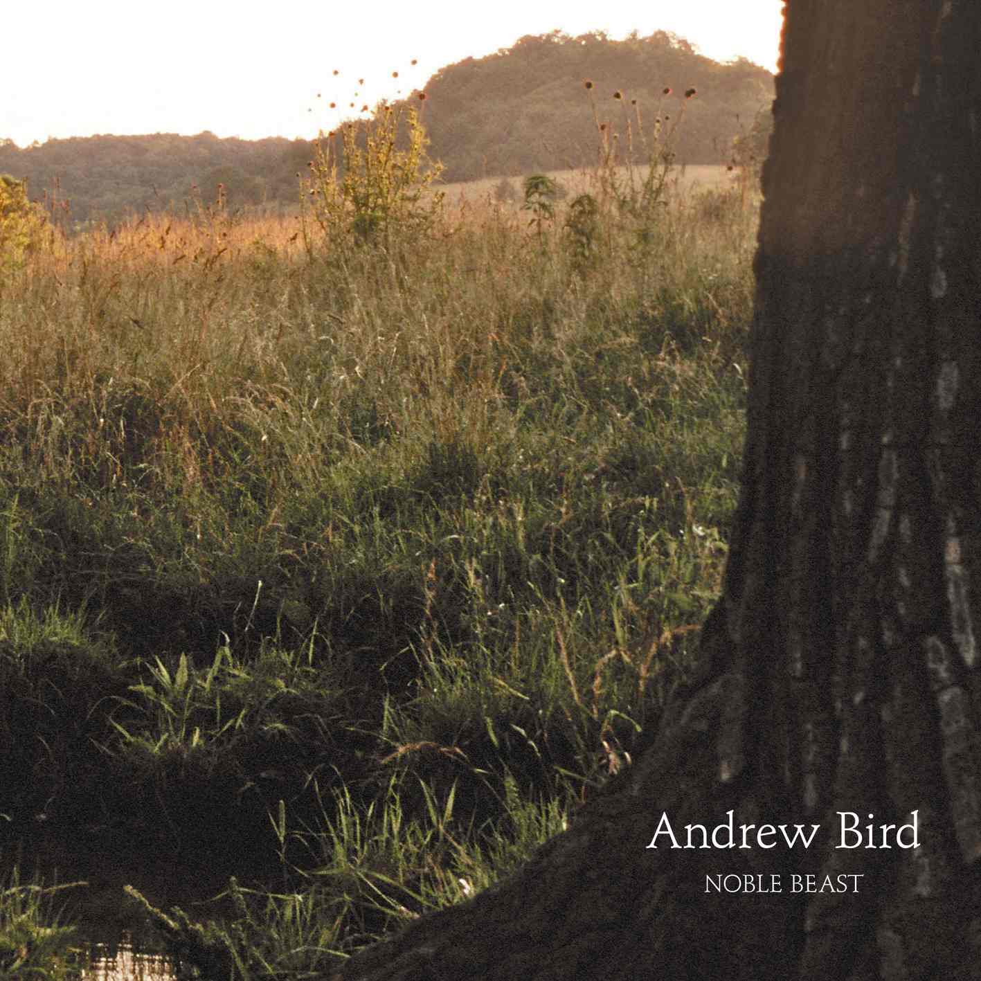 Andrew Bird