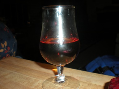 Christmas 2008 007