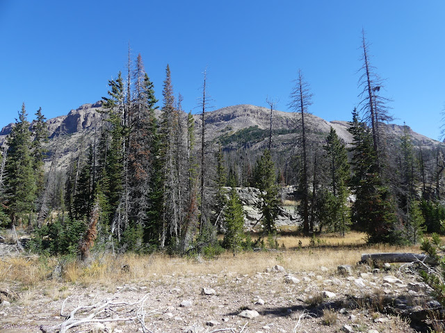 001: sudden rise of rocks behind tall trees