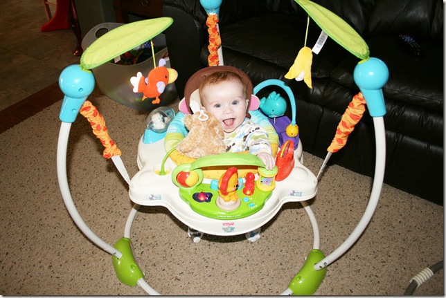 jackson bouncer 2