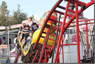 fair 229