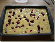 blondies 5