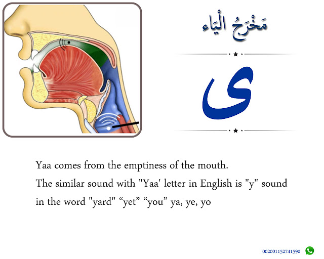 The Articulation Point of Yaa