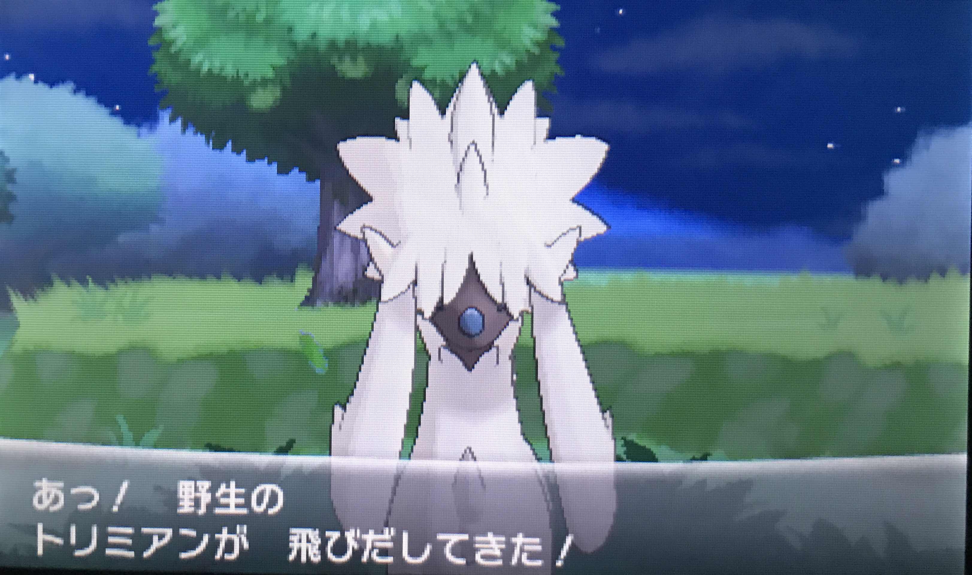 懐かしのポケトレで色違いトリミアンをゲット ふみの色違いポケモンブログ