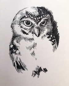 Chez Maximka, drawings of owls