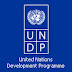 NGO UNDP Jobs Tanzania UNV Field Facilitator