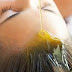 NATURAL OILS FOR HEALTHY HAIR CARE