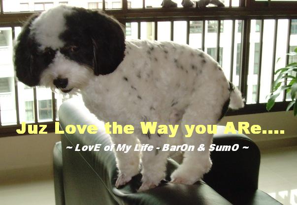 JuZ lOve ThE way YoU Are....