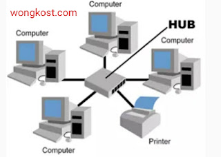 Hub adalah merupakan sebuah perangkat jaringan yang bekerja pada OSI layer 1, Physical Layer. Sehingga Hub hanya bekerja tak lebih sebagai penyambung ataupun concentrator saja, serta hanya menguatkan sinyal di kabel Unshielded Twisted-Pair (UTP)