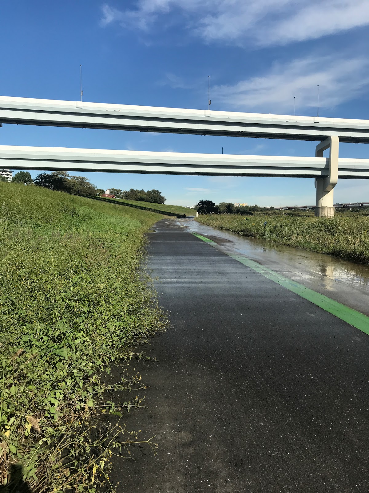 自転車 荒川下流域 江北橋 清砂大橋 の状況