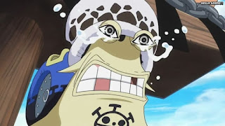 ワンピースアニメ パンクハザード編 623話 電伝虫 トシーザー | ONE PIECE Episode 623