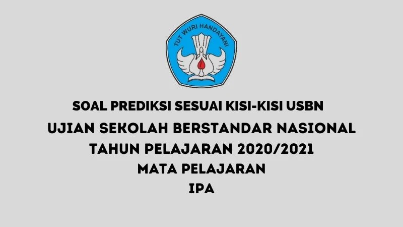 Latihan Soal Ujian Sekolah IPA SD