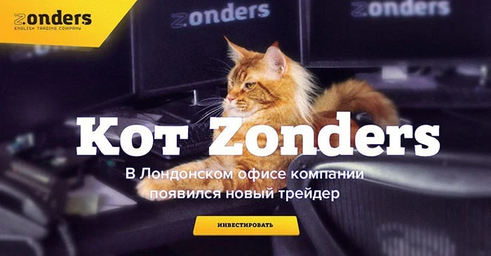 Новости от Zonders