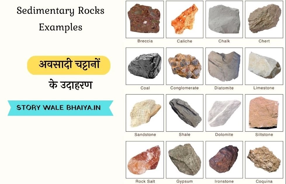 Sedimentary Rocks In Hindi