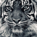 Mi foto