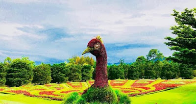 Harga Tiket Masuk Taman  Bunga  Nusantara  Bogor Aneka Harga