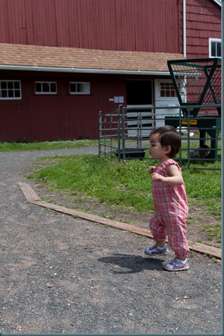 2011-06-15_113430