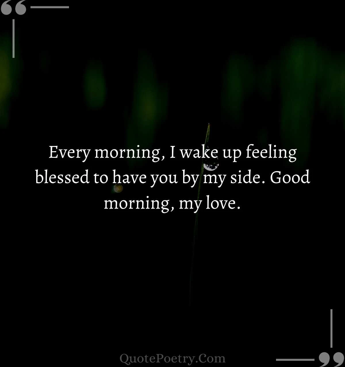 Lovely Quotes Good Morning