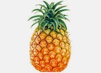 Pineapple Fruit Can Lower Blood Pressure