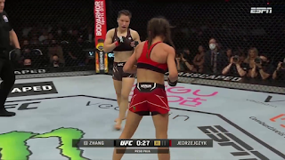 UFC 275: Teixeira vs Prochazka 2022 HDTV Latino descargar