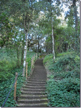 Bosco Ragnaia 060