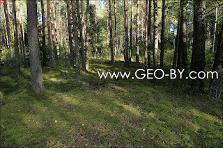 The place where there was the settlement Bliźnięta (Twins). Path to another former settlement