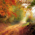 Wallpaper Beautiful Autumn Road