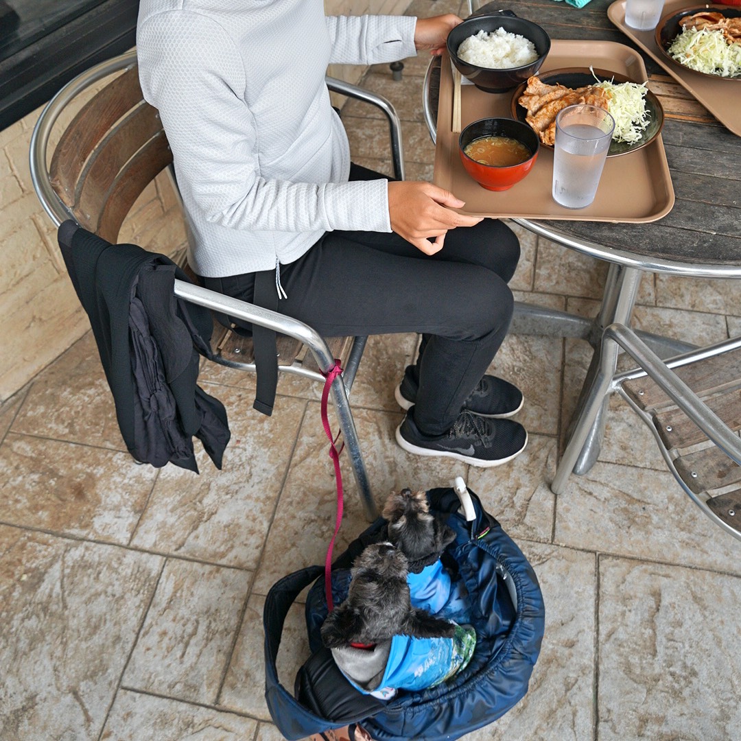 Travel With Small Dogs ちびわんと旅しよう Nasu亭 テラス席ならペット同伴可能な那須ガーデンアウトレット のフードコート内の定食屋