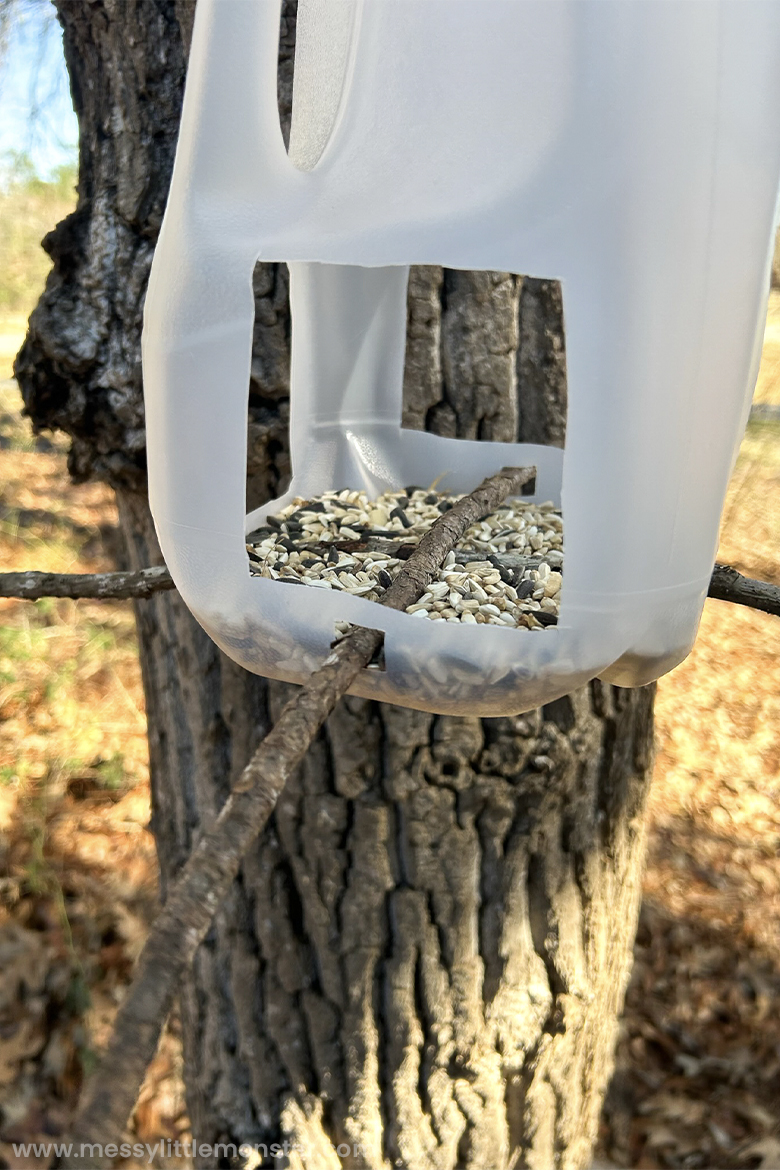 diy bird feeder