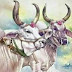 જીવા આપા આહીર ની દાતારી