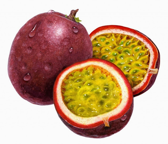 Gambar Buah Markisa Ungu