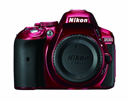 Nikon D5300 24.2MP CMOS デジタル カメラ レビュー