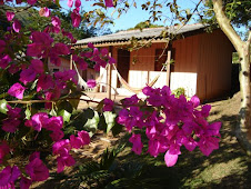 Quarto 7