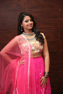 Geethanjali sizzles in Pink at Mixture Potlam Movie Audio Launch 043.JPG