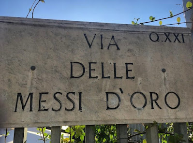 Via delle Messi d'Oro Pietralata