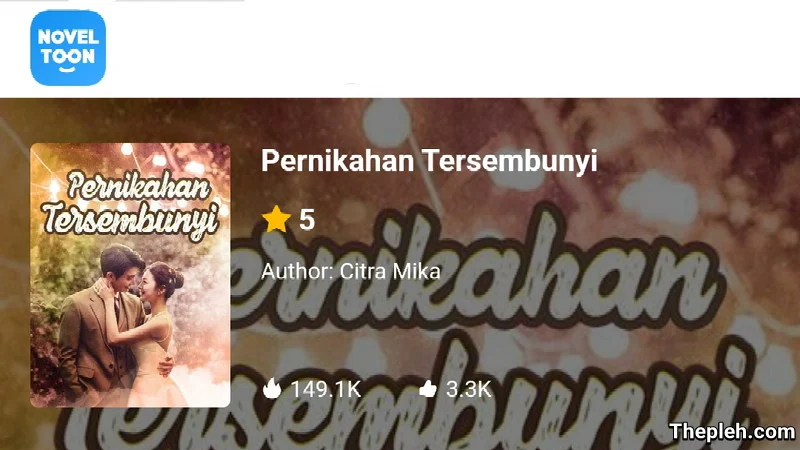 Novel Pernikahan Tersembunyi Gratis