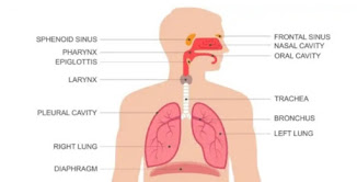 Penyakit pernapasan bisa memburuk akibat kurang tidur