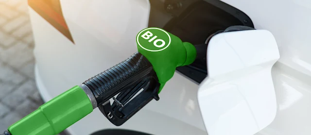 Fossil Fuels and Renewable Energy Prospects