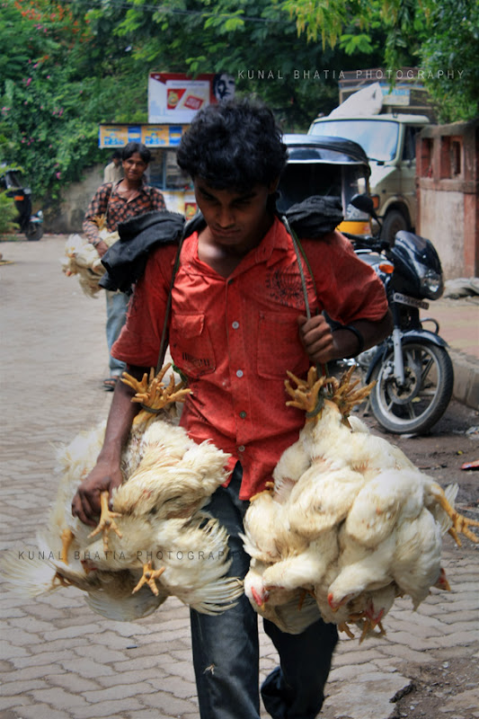 Chicken hens being taken to the butchers by carrying them on the streets in Mumbai by Kunal Bhatia