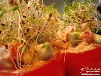 tomate graine germee avocat crevette grise entree froide