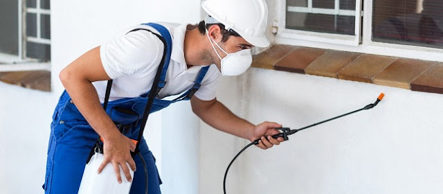 Pest Control Bacchus Marsh