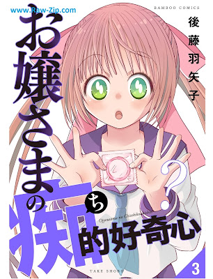 [Manga] お嬢さまの痴的好奇心 第01-03巻