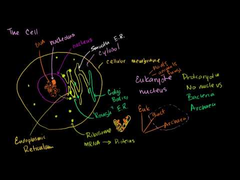 Jeff Schechtman's "Specific Gravity": KHAN ACADEMY transforms ...