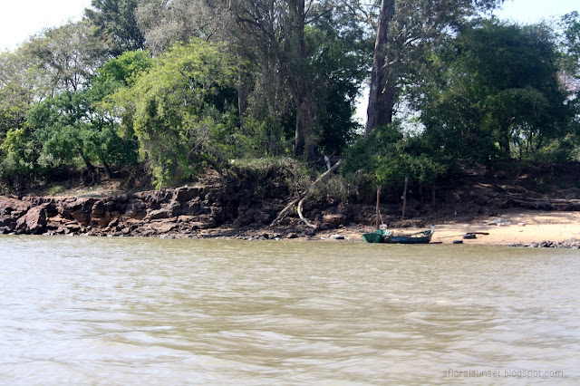 Argentina Rio Parana